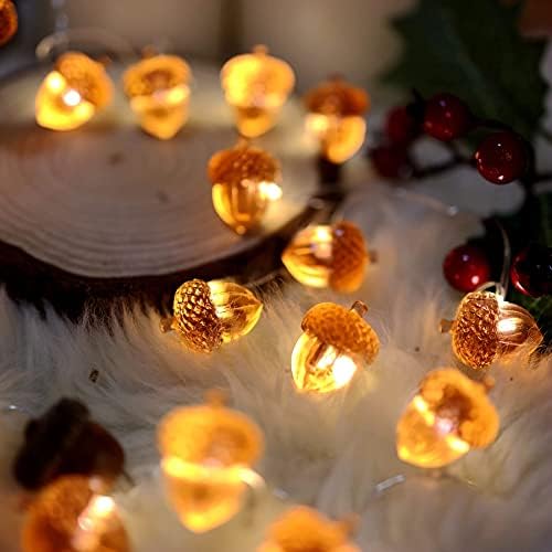 Decorative Fairy Acorn String Lights Thanksgiving Decoration Autumn Garland Cute Novelty Lights 30 LEDs 10 ft Battery Operated for Bedroom Wedding Birthday Harvest Decor