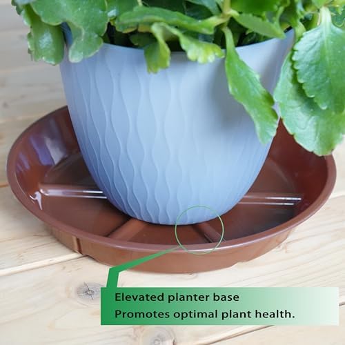 Plant Saucer Pot Tray 12 inch, 6 Packs Flower Planter Saucers and Drip Trays, Plant Dish Pant Plate to Catch Water for Indoor & Outdoor, Durable Round Plastic Flower Plant Saucer, Chocolate