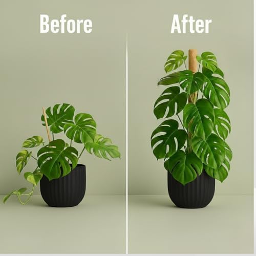 2 Pack 28" Bendable Moss Pole Monstera Plant Support for Climbing Plants
