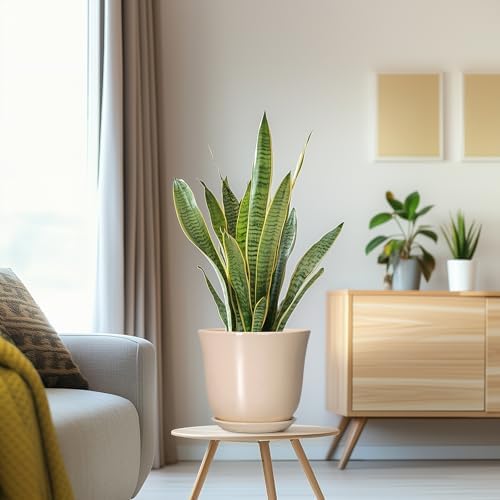 8 Inch Plant Pot, Ceramic Pots for Plants Indoor, Beige