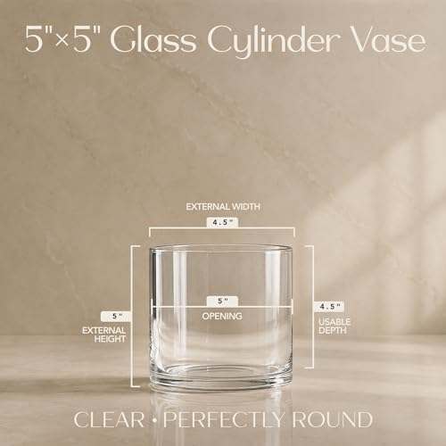 Royal Imports Glass Cylinder Flower Vase Cylinder Shape, 5"x5", Clear