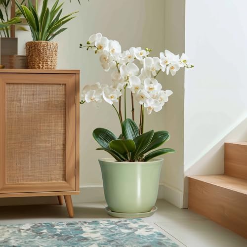 Ceramic Planter, 12 Inch Plant Pot for Indoor Plants, Green