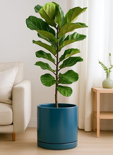 D'vine Dev 12 Inch Ceramic Planter Pot, Teal, 94-O-F-9