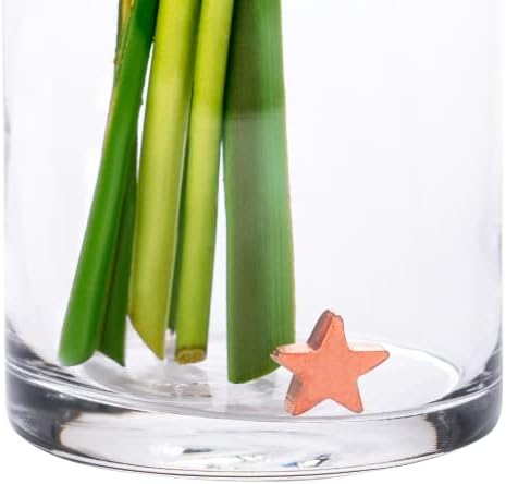 Flower Food Alternative for Fresh Cut Flowers. Copper Charm Keeps Flower Water Clean and Clear. Just Place it in the Vase, Reusable Star 5