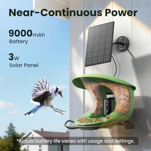 Birdfy 2 Smart Bird Feeder with Camera, 1080P HD for Outdoor Bird Watching