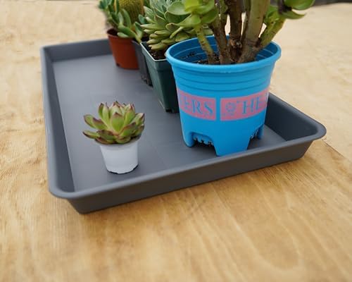 VUWEZ 2 Pack Plant Growing Nursery 1020 Trays, Plant Saucer Tray, Heavy Sturdy Seed Starting Trays, Plant Starter Trays for Indoors No Holes, Seed Starter Growing Tray (22"x11.2", Gray)