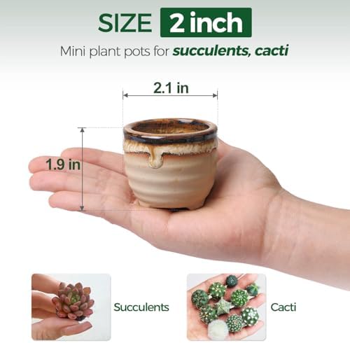 T4U Mini Ceramic Succulent Pots, Small Gift Planters, Retro Decor Set of 6
