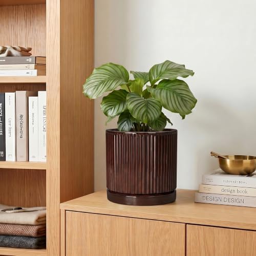 Ceramic Plant Pots, 6 Inch Pots for Plants, Round Planter, Brown