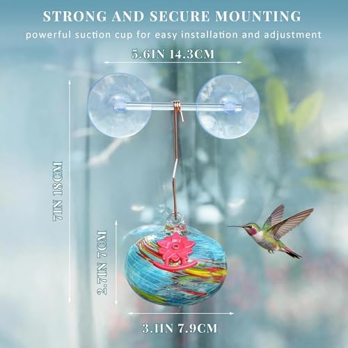 Window Hummingbird Feeder with Suction Cup, Humming Bird Feeder for Outdoor