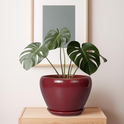 Ceramicfor 10 Inch Plant Pot, Ceramic Planter, Red