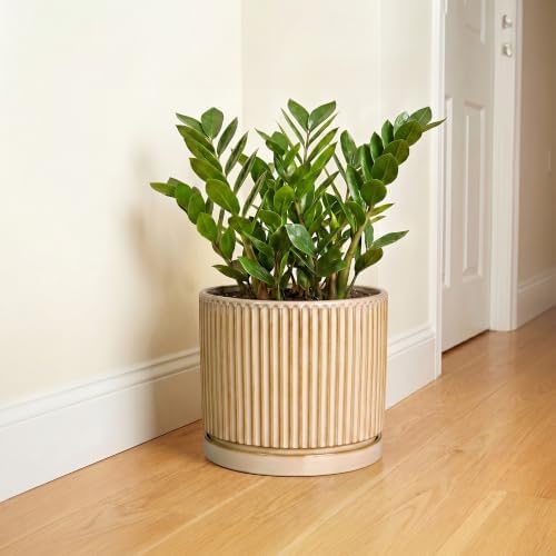 Ceramic Pots for Plants, 10 Inch Planters, Round Plant Pot, Beige