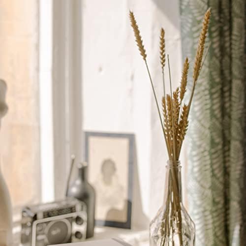200 Stems Dried Wheat Stalks Natural Wheat Bundle for Home Decor, Crafts (Pack of 2)