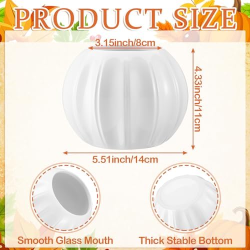 Sieral 3 Pcs Ceramic Pumpkin Vase 5.5" White Pumpkin Table Decor Fall Vase