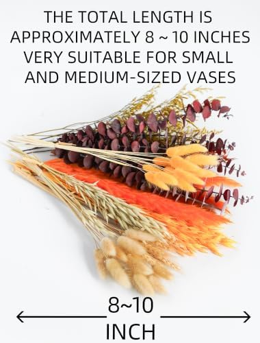 12 Kind Dried Flowers Set - Fall Decor Preserve Flowers Kit