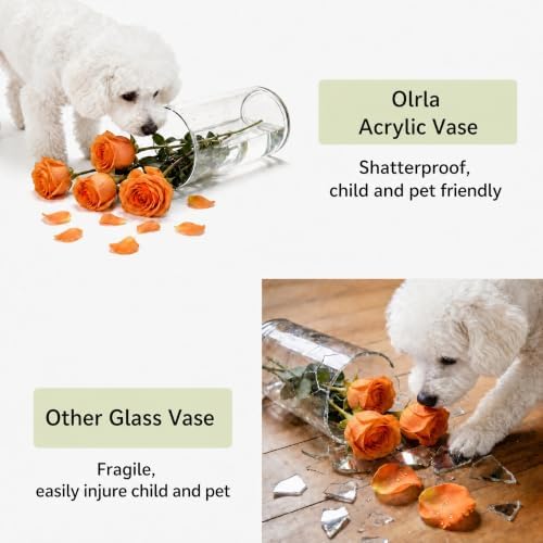 Olrla Clear Cylindrical Acrylic Vase, Set of 3, Shatterproof