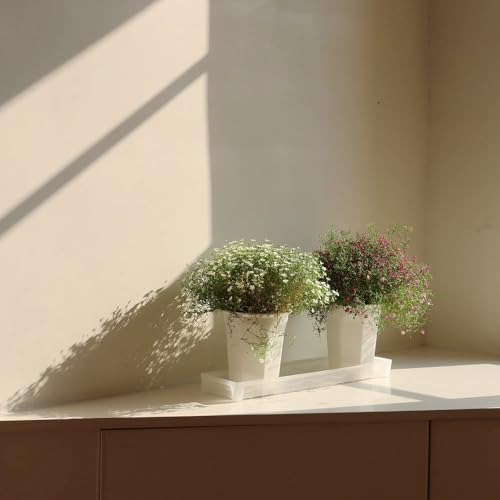 8 Pack 6.10 Inch White Plastic Deep Nursery Pot and Seedling Planter for Succulent, Cutting, Transplanting