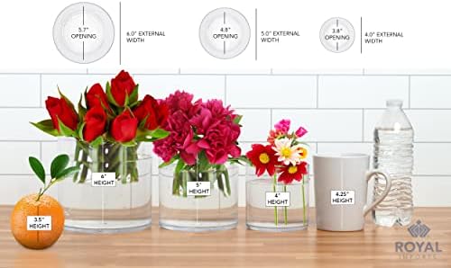 Royal Imports Plastic Cylinder Flower Vase Non-Breakable Acrylic 4"x4"
