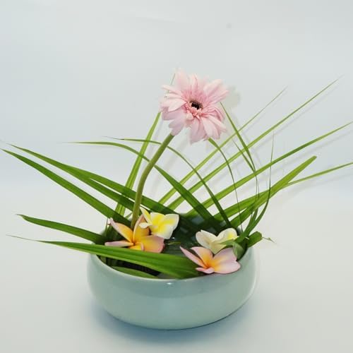Ikebana Kit, Bowl, with 1.8in Floral Frog