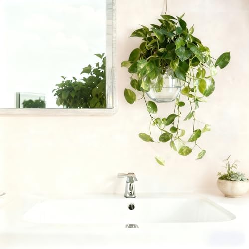 4 pcs Glass Wall Hanging Planter, Oval Terrarium Vase, Propagation Station for Hydroponics, Indoor Plants, Home Office Decor (Large)