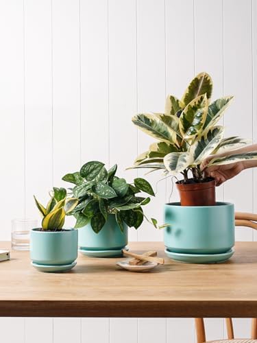 LE TAUCI Ceramic Pots for Plants, 4.3+5.3+6.8 Inch, Set of 3, Turquoise