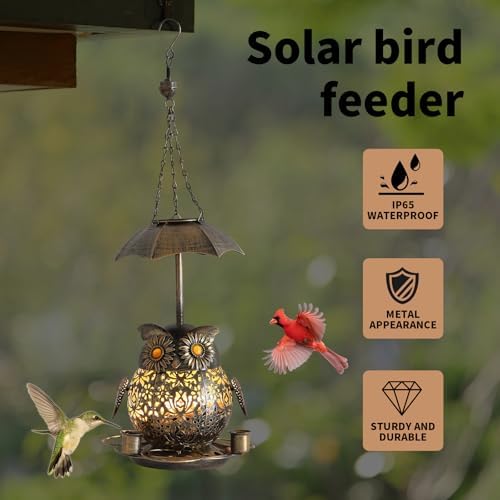 Bird Feeder for Outdoors