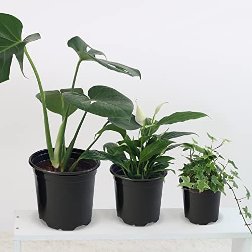 RAOOKIF 100 Pack Nursery Pots, 4 5 6 Inch Nursery Pot for Plants, Plastic Plant Pots with Drainage Holes, Garden Flower Pots for Transplanting, Succulents, Cuttings, Seedlings(5inch,100pcs)