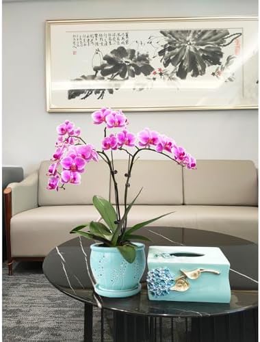 Orchid Pot 6.3 Inch, Orchid Pots with Holes & Saucer, Orchid Pot for Repotting, Beatiful Ice Cracked Glaze Ceramic Plant Pot Indoor Planter, Breathable Slotted Orchids Planter(Water Blue)