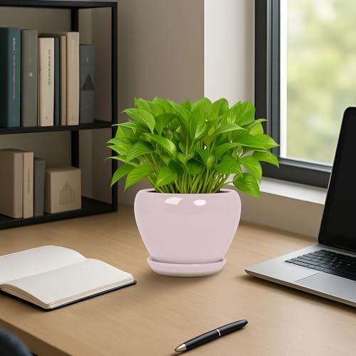 Deep Dream 6 Inch Plant Pots- Ceramic Planter Pot with Drainage Hole and Saucer, Round Flower Pot for Indoor Outdoor Succulent, Snake Plants and Cactus, Pink