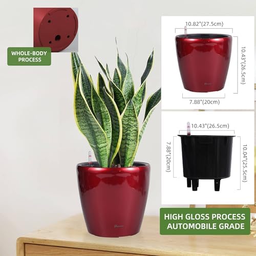 Dexceder 11x10 Self Watering Planter (Red High Gloss)