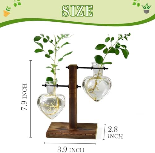 XXXFLOWER Plant Propagation Station Terrarium Wooden Stand 2 Love Bulb Vase