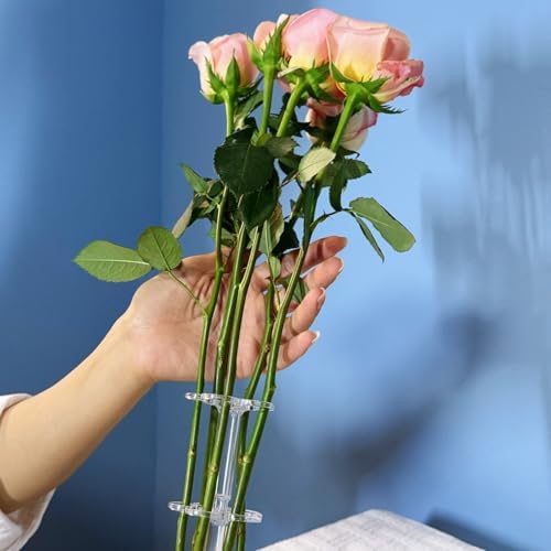Flower Arrangement Holder Floral Grid Tool Easy Arranger Floral Organizer for Vase Stems Bouquets Plant Fixation (6 Holes/Hole Diameter 20mm)