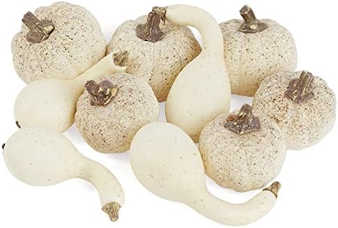 Factory Direct Craft Cream Artificial Mixed Pumpkins and Gourds for Fall Decorating and Displays