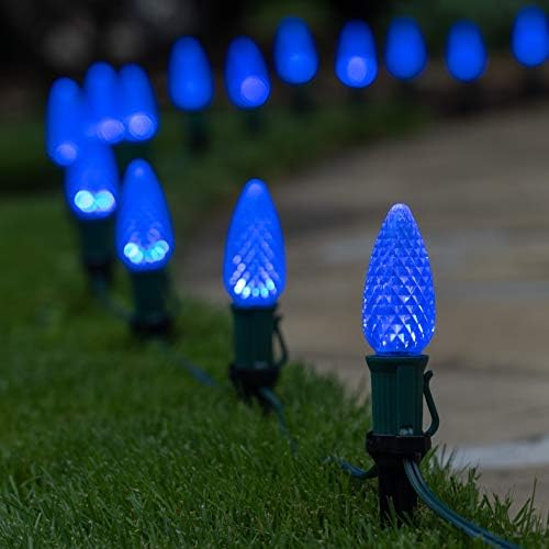 Wintergreen Lighting 50' OptiCore LED C9 Blue Pathway Christmas Lights, Heavy Duty Bulbs for Driveway, Walkway Marker, 5" Commercial PathPRO Stakes, 18 Gauge Green Wire