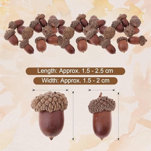 30 Pcs Natural Dried Acorn, Small Acorns Ornaments Vase Fillers for DIY Crafts, Christmas Thanksgiving Decorative House Fall Winter Holiday Home Decor