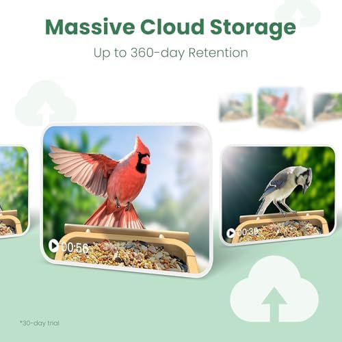 Smart Bird Feeder Camera with Solar Panel, Bamboo