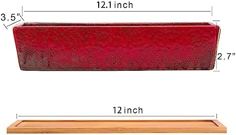 Succulent Pots - 12.1 Inch Large Succulent Planters with Drainage Tray