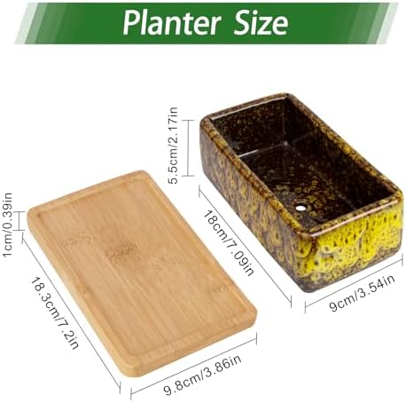 Succulent Pots, 7'' Large Long Rectangle Planters with Drainage Tray