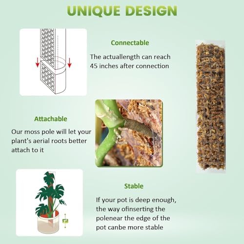 EOX Plastic Moss Pole for Monstera and Climbing Plants, 15-Inch, 6-Pack