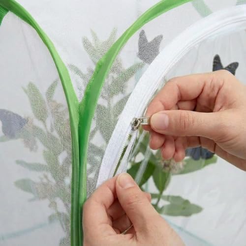 Mesh Plant Protection Enclosure, Portable Collapsible Garden Grow Cage with Mesh Barrier, Pest & Bird Proof Plant Cover for Vegetables, Fruits, Outdoor Patio Balcony Use, 36 Inches Tall