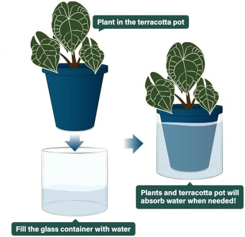 D'vine Dev Self-Watering Blue Terracotta Planter, 6 in, 2-Pack, 37-Y-B-4