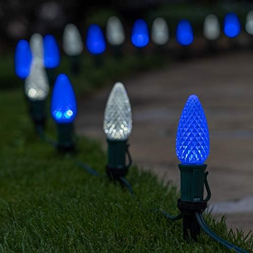 Wintergreen Lighting 50' OptiCore LED C9 Blue and White Pathway Christmas Lights, Heavy Duty Bulbs for Driveway, Walkway Marker, 5" Commercial PathPRO Stakes, 18 Gauge Green Wire