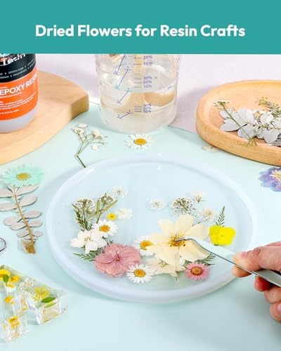 Dried Flowers, Resiners 100Pcs Pressed Flowers for Craft