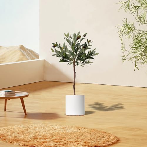 36 Pcs Invisible Pot Feet, 1.6 * 1.8 Inch Plant Pot feet Risers with Non Slip Surface,Sturdy Cork Plant Pot Feet Solid Corkwood Planter Pot Lifter for Indoor Outdoor Plants Pots