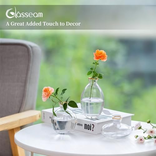 Bud Vases 3Pcs/Set Small Vases Handmade Cute Gold Rim Small Vases for Flowers Centerpieces Glass Vases Mini Vase Home Decor Centerpieces, Events Table Decor