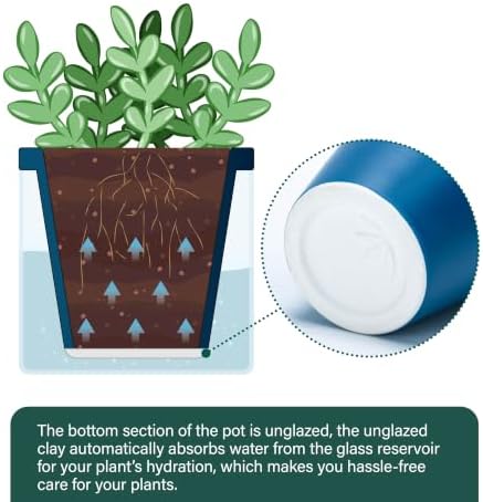 D'vine Dev Self-Watering Blue Terracotta Planter, 4 in, 2-Pack, 37-Y-A-4