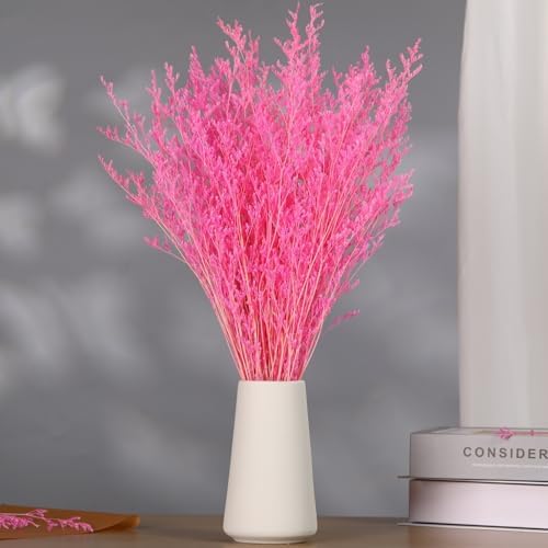 Dried Flower Bouquet, 17'' Dry Pink Caspia Flowers Bundle for Vase Decor