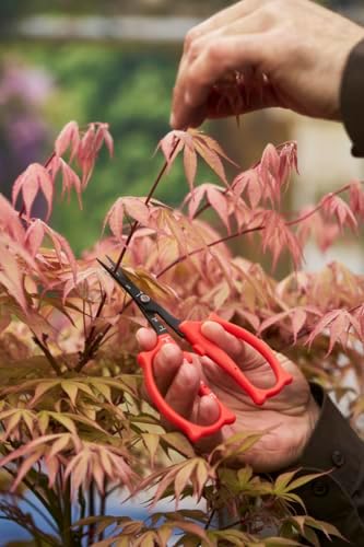 Felco 420 Trimming Scissors – 6.1" Garden Clippers with Fine Tip & Non-Stick Blade | Pruning Shears for Gardening