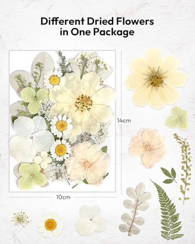 Dried Flowers, Resiners 100Pcs Pressed Flowers for Craft