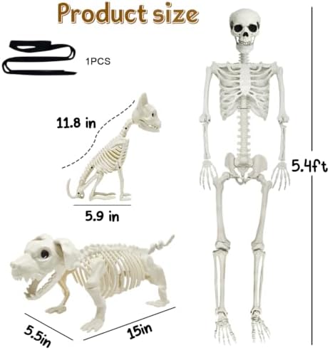5.4Ft Posable Halloween Skeleton with Dog Cat Skeleton for Halloween Decor