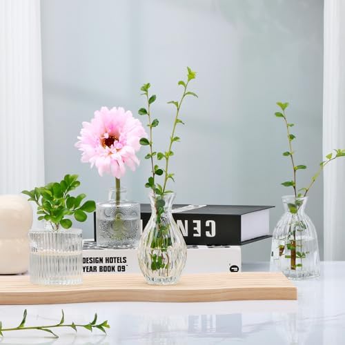 Glass Bud Vases Set of 4, Small Flower Vases for Wedding Centerpiece